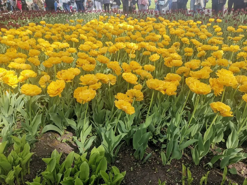Выходные в Питере, или Куда сходить с друзьями в Санкт-Петербурге