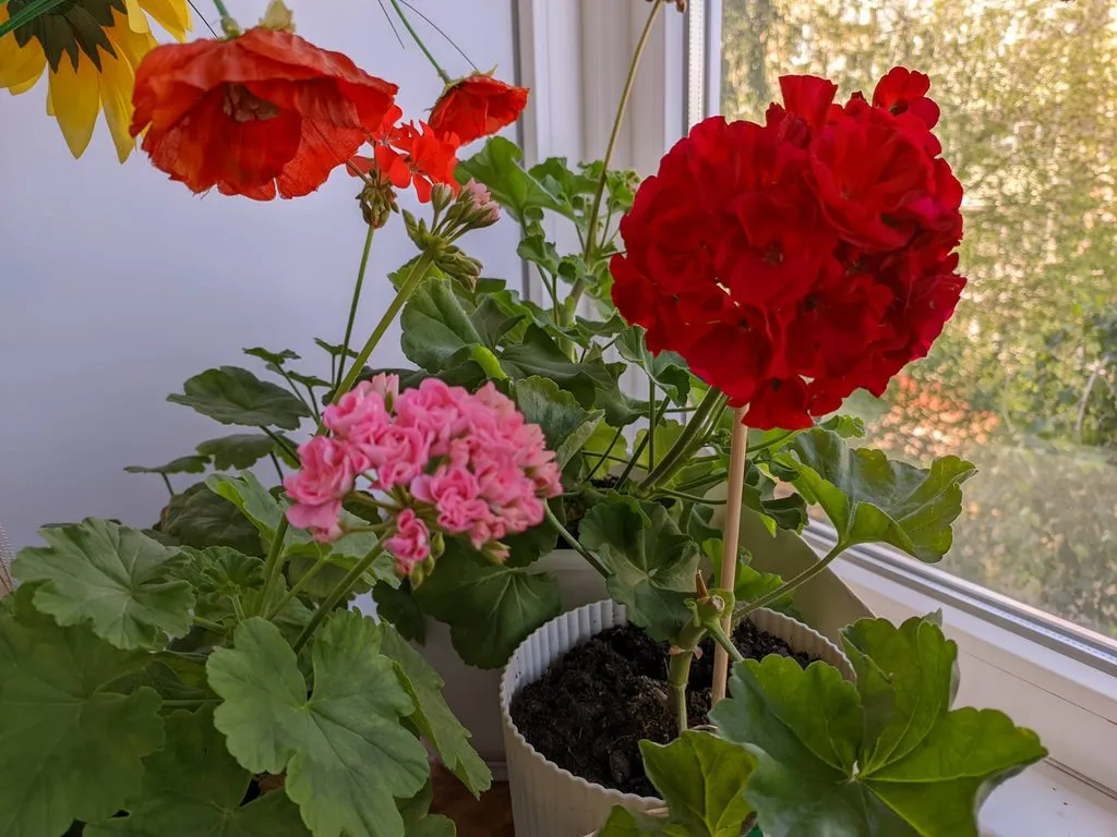 Чайная беседка