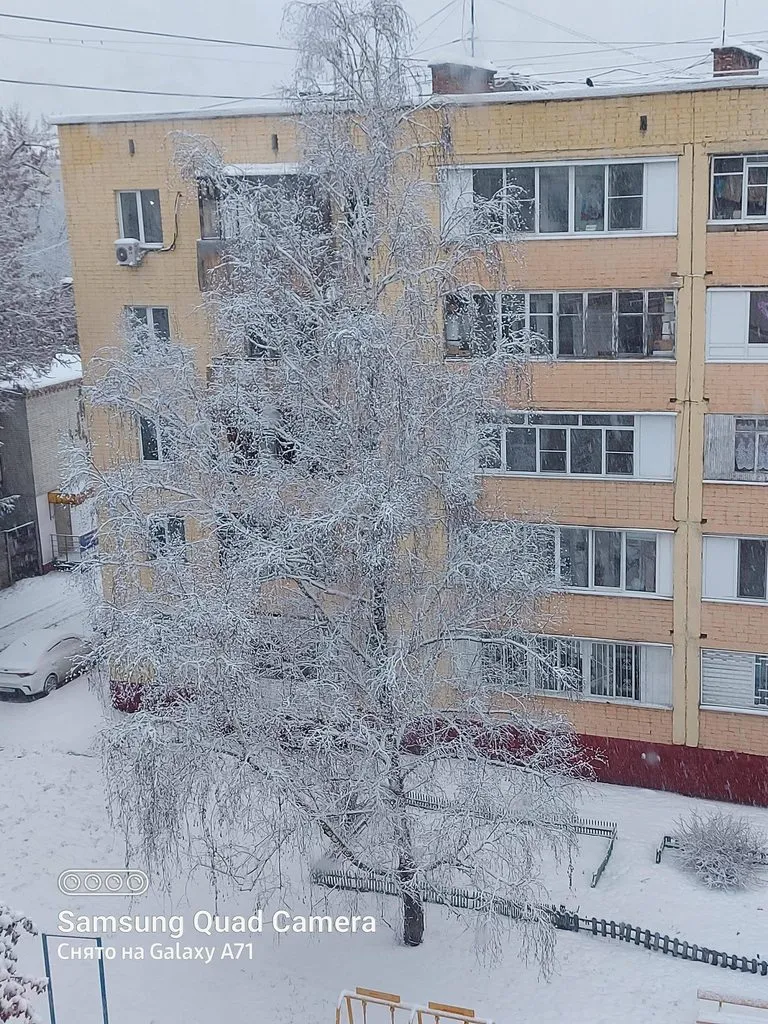 Tapтaлeтки & Ко