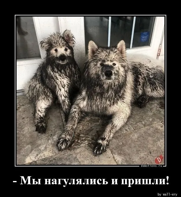 Посмеялся сам - поделись с другом!!!
