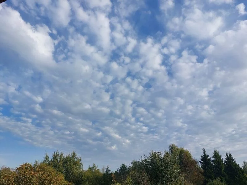 Такое разное небо