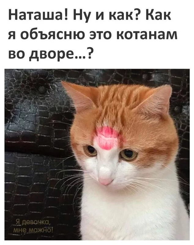 Посмеялся сам - поделись с другом!!!