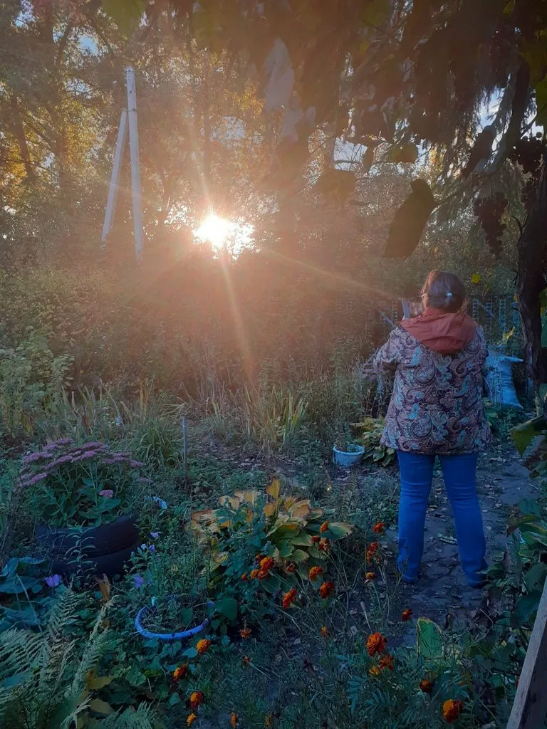 Чайная беседка