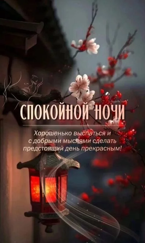 Кафе "У пани Сони"