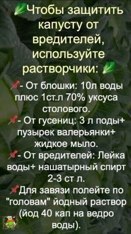 Садово-огородная  инфографика