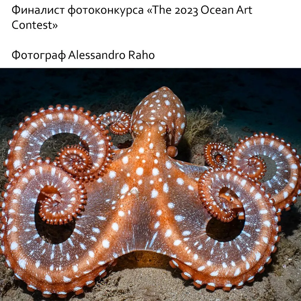 Это интересно!