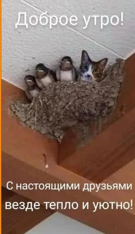 Кафе "У пани Сони"