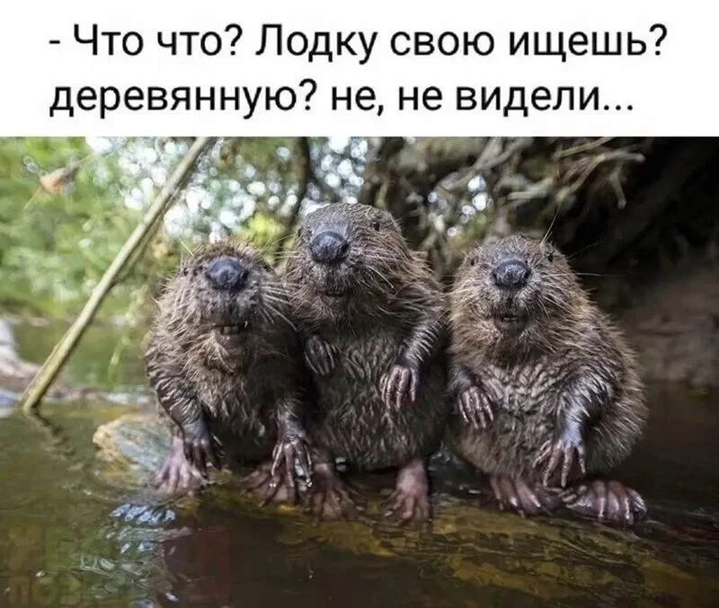 Посмеялся сам - поделись с другом!!!
