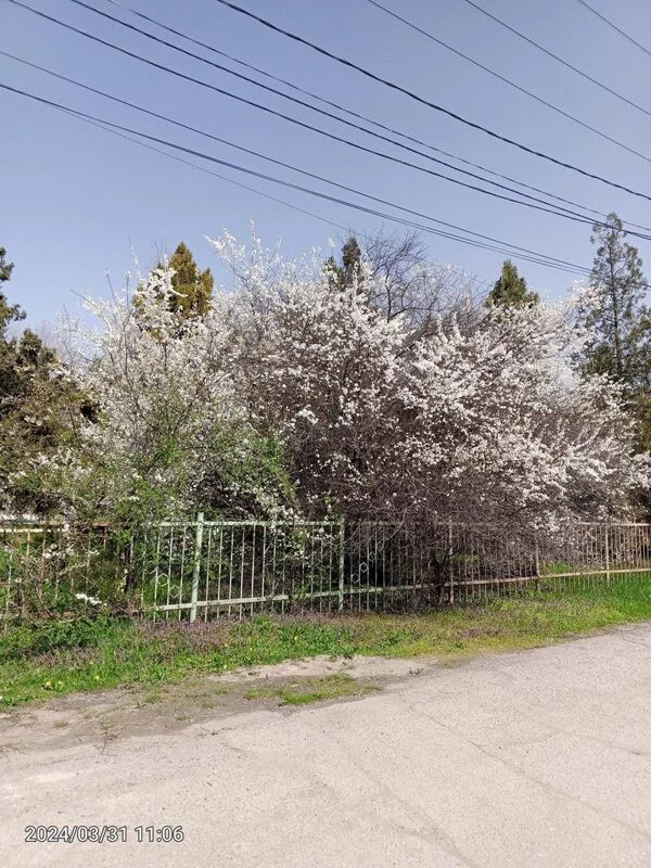 Чайная беседка