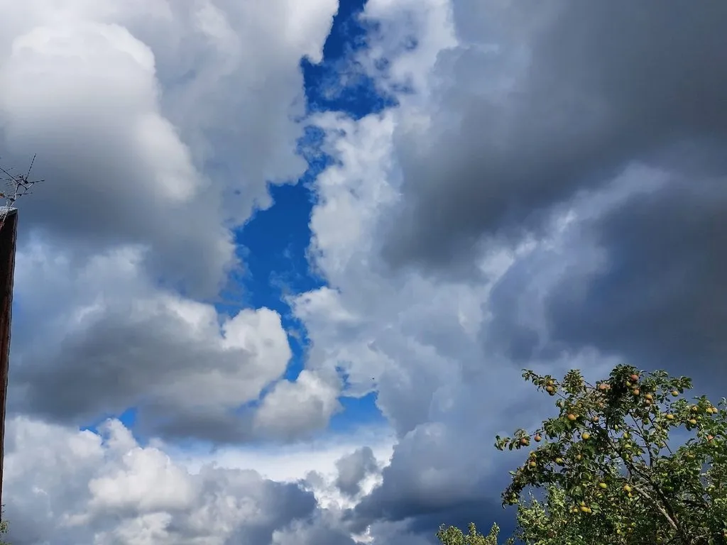 Такое разное небо