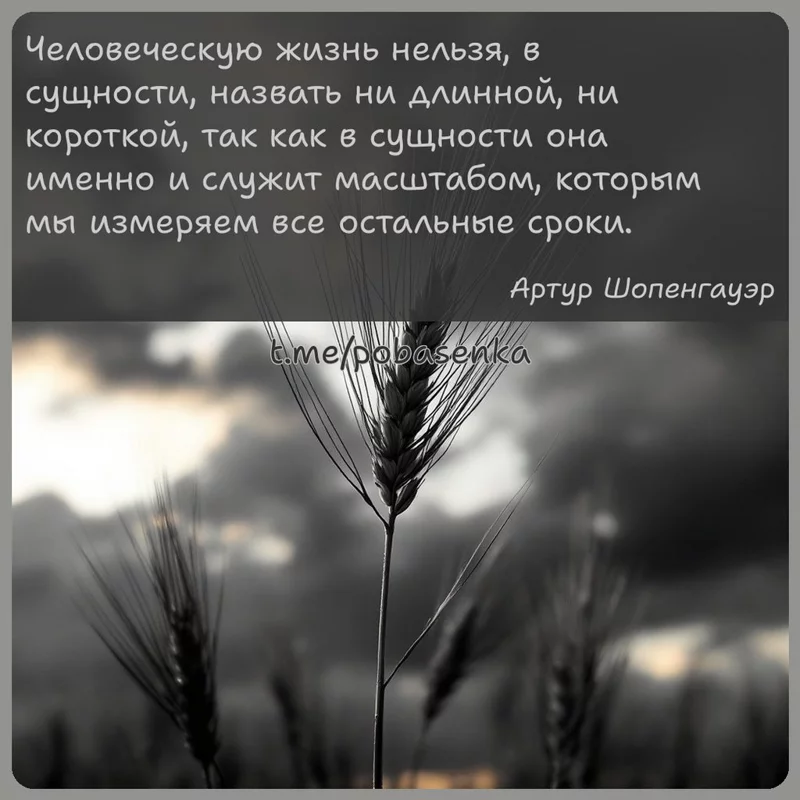 «Человеческую жизнь нельзя, в сущности, назвать ни длинной, ни короткой, так как в сущности она именно и служит масштабом,...» height="550" width="550"