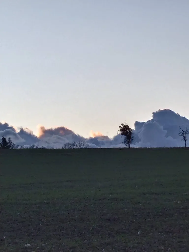 Чайная беседка