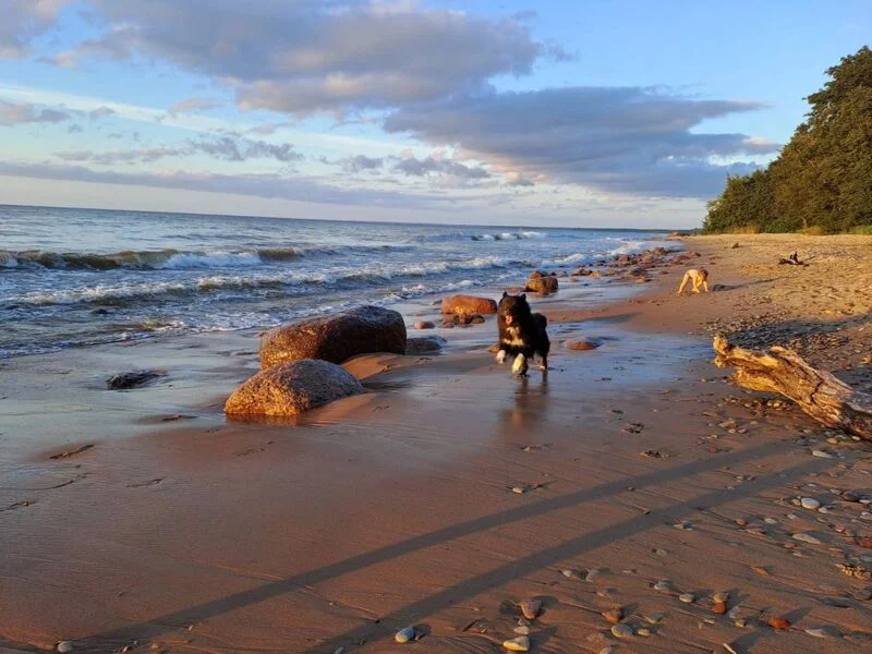 Фотонастроение