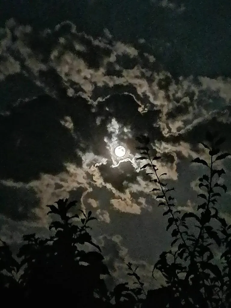 Такое разное небо