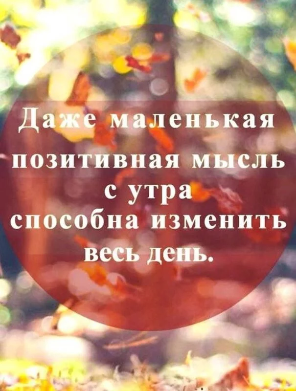 Позитивчик (фото, видео, рассказы для хорошего настроения)