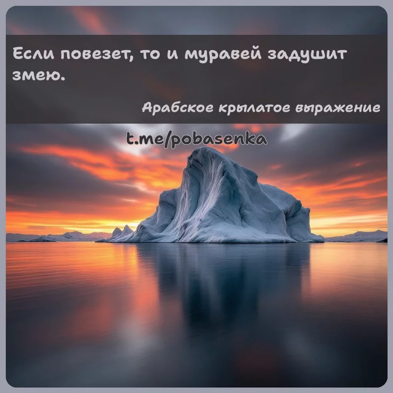 «Если повезет, то и муравей задушит...» height="550" width="550"