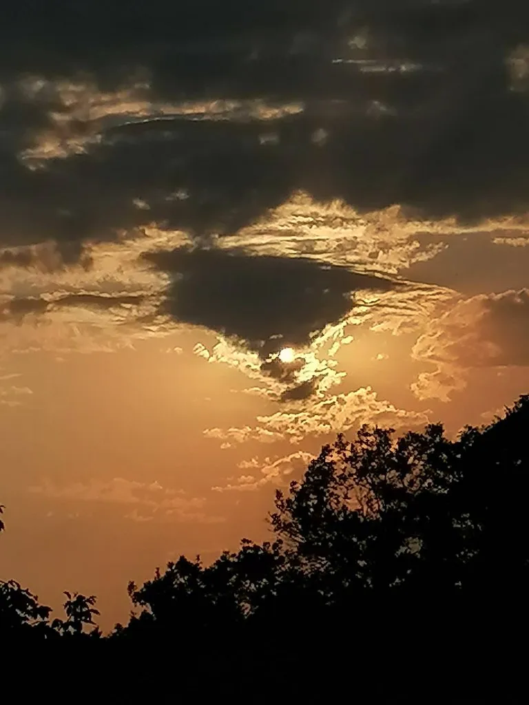 Чайная беседка