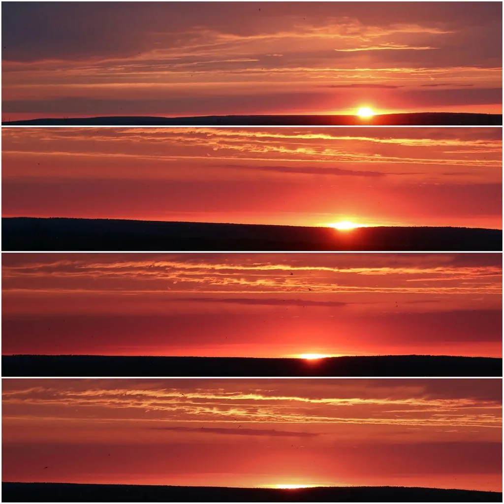 Чайная беседка