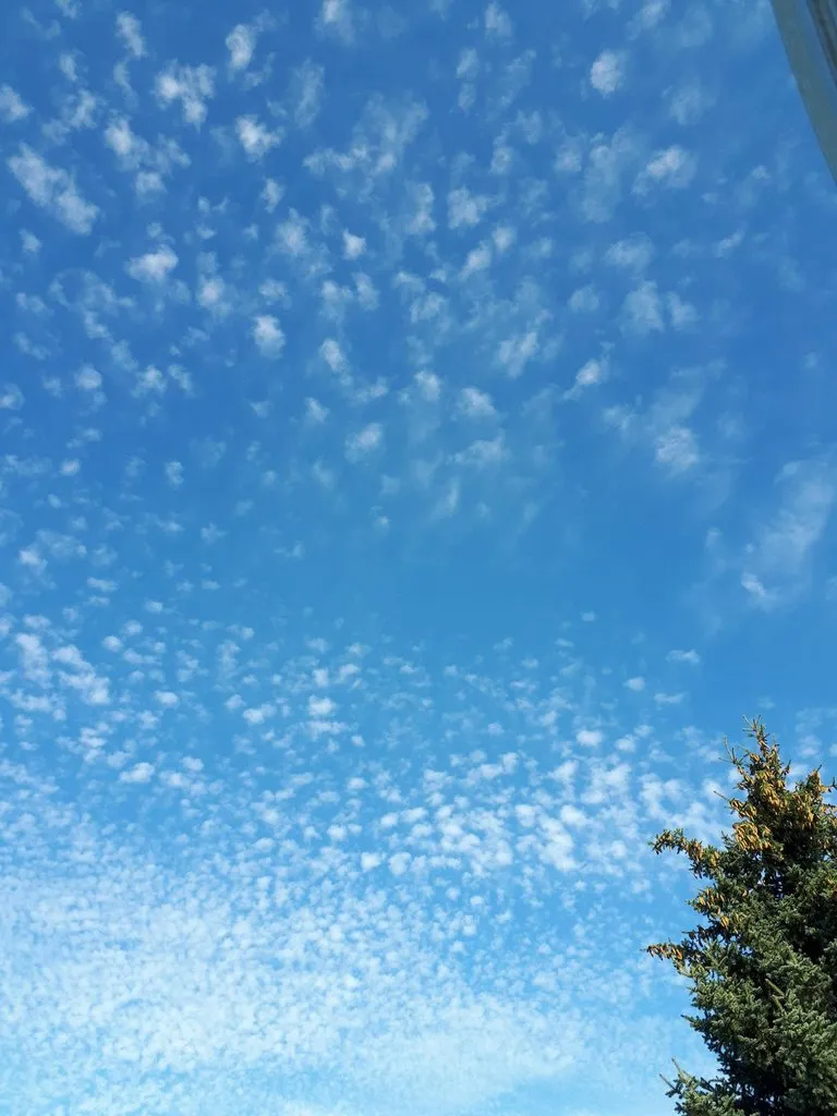 Такое разное небо