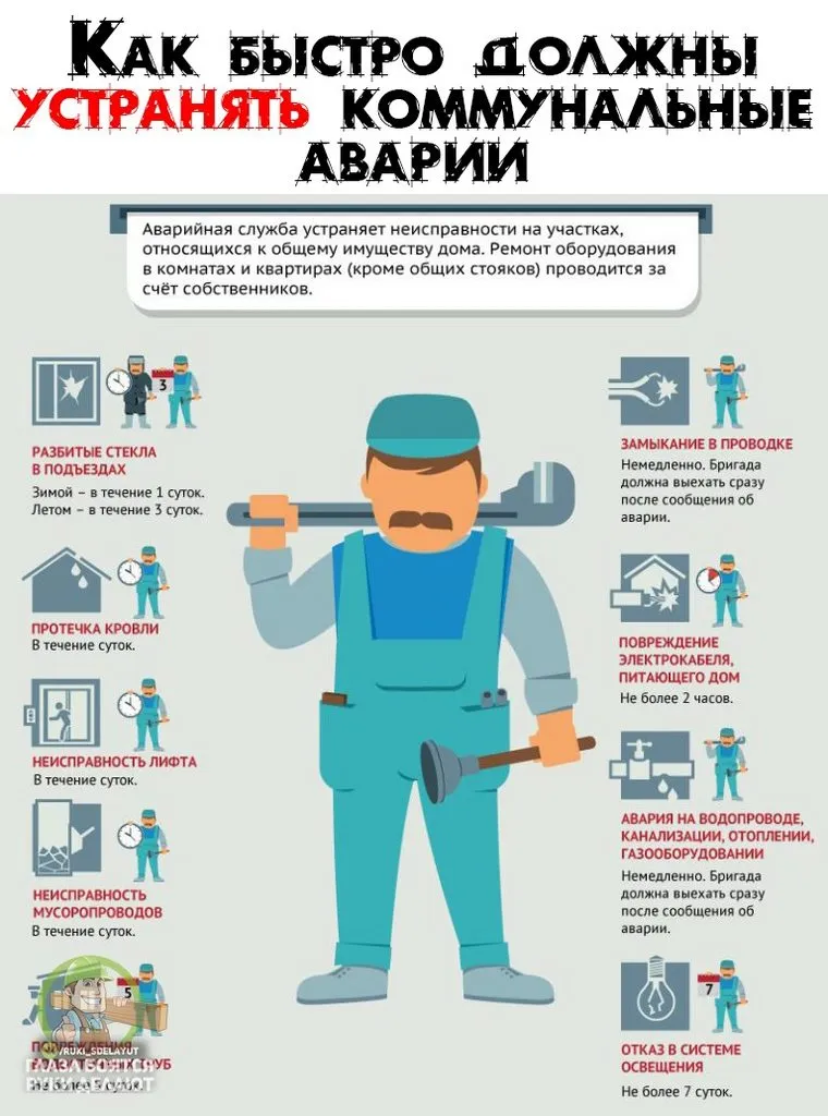 Домашняя инфографика