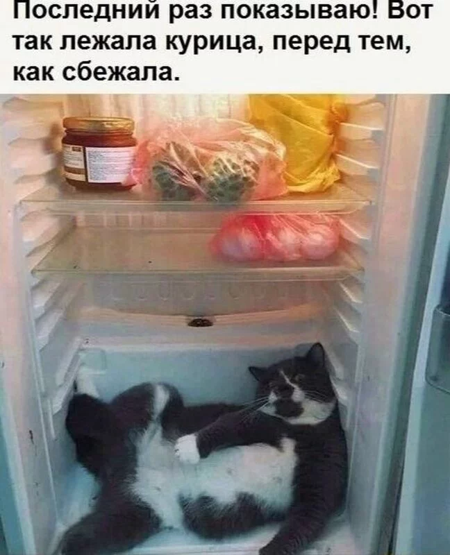Посмеялся сам - поделись с другом!!!