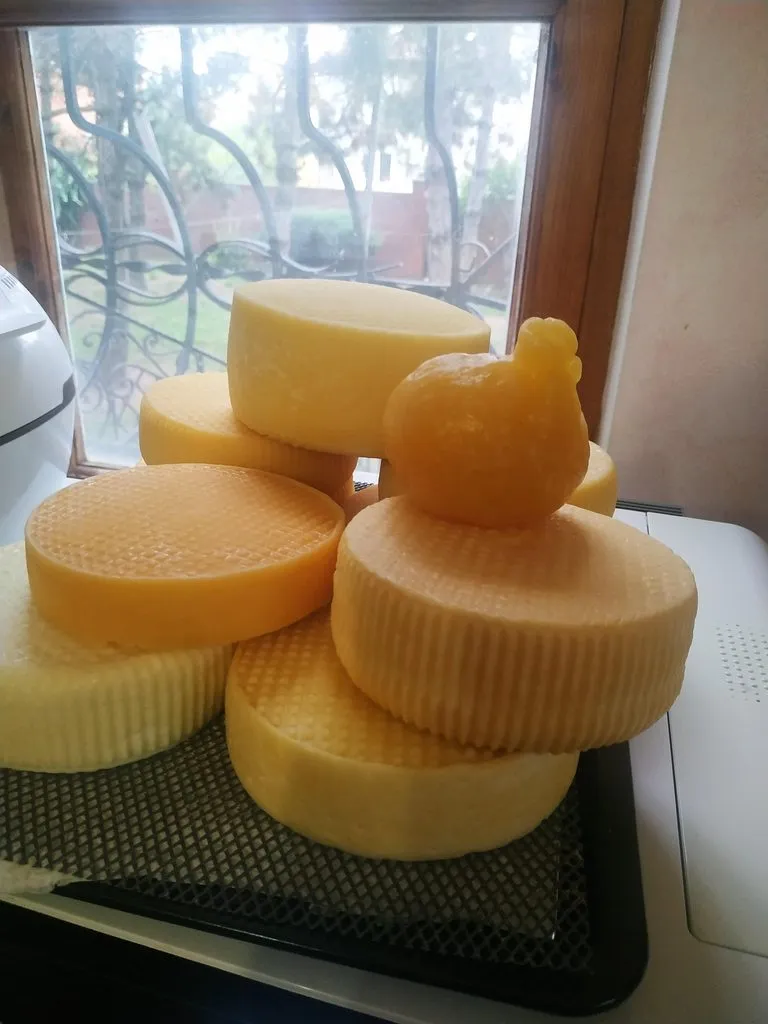 Сыроварка Ariete 0615 B-Cheese