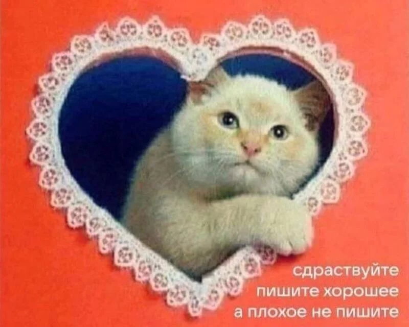 Кафе "У пани Сони"