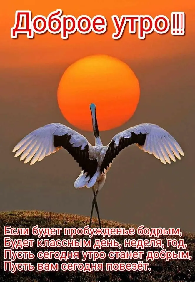 Tapтaлeтки & Ко