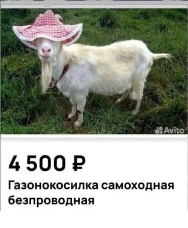 Посмеялся сам - поделись с другом!!!