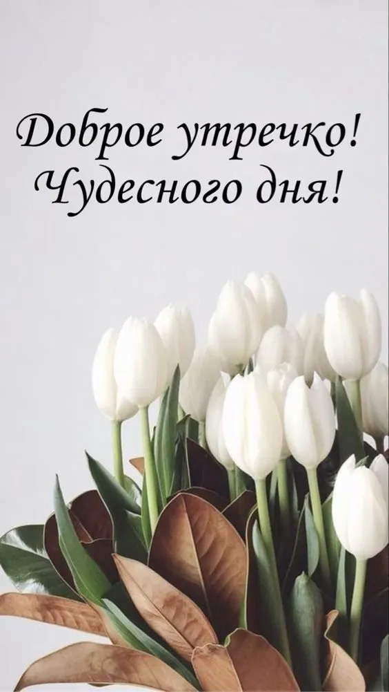 Tapтaлeтки & Ко