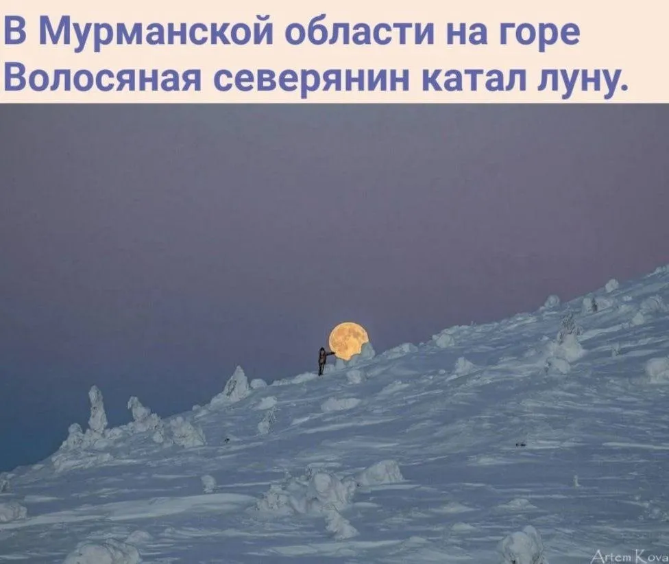 Tapтaлeтки & Ко