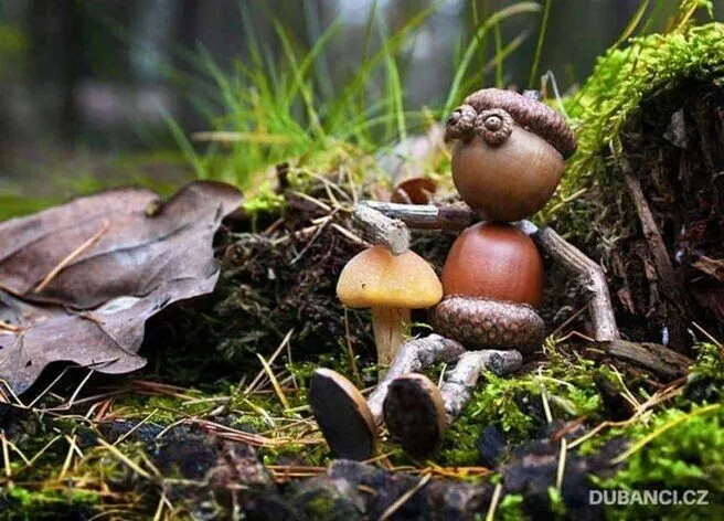 Позитивчик (фото, видео, рассказы для хорошего настроения)