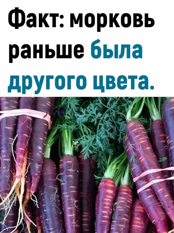 Это интересно!