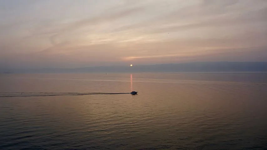 Свидетели далекого прошлого