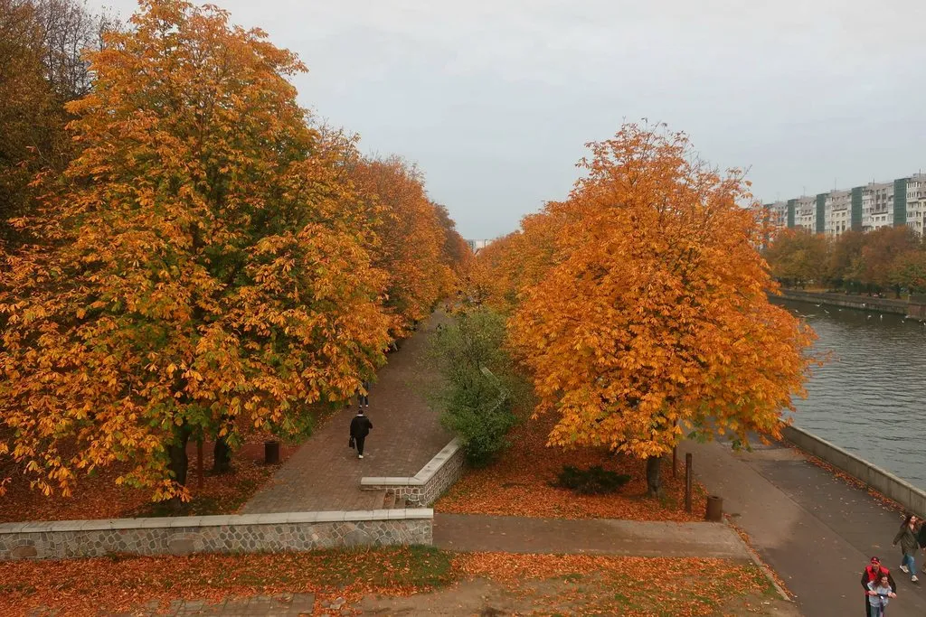 И снова, через год, встречай, Калининград!
