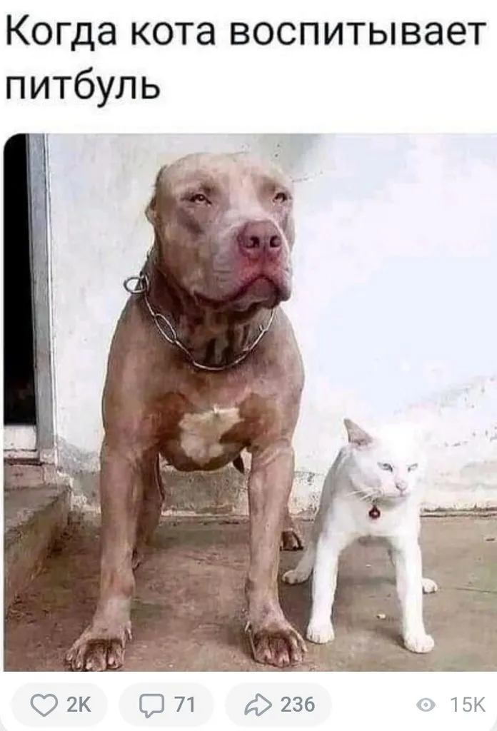 Посмеялся сам - поделись с другом!!!