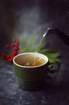 Чайная беседка