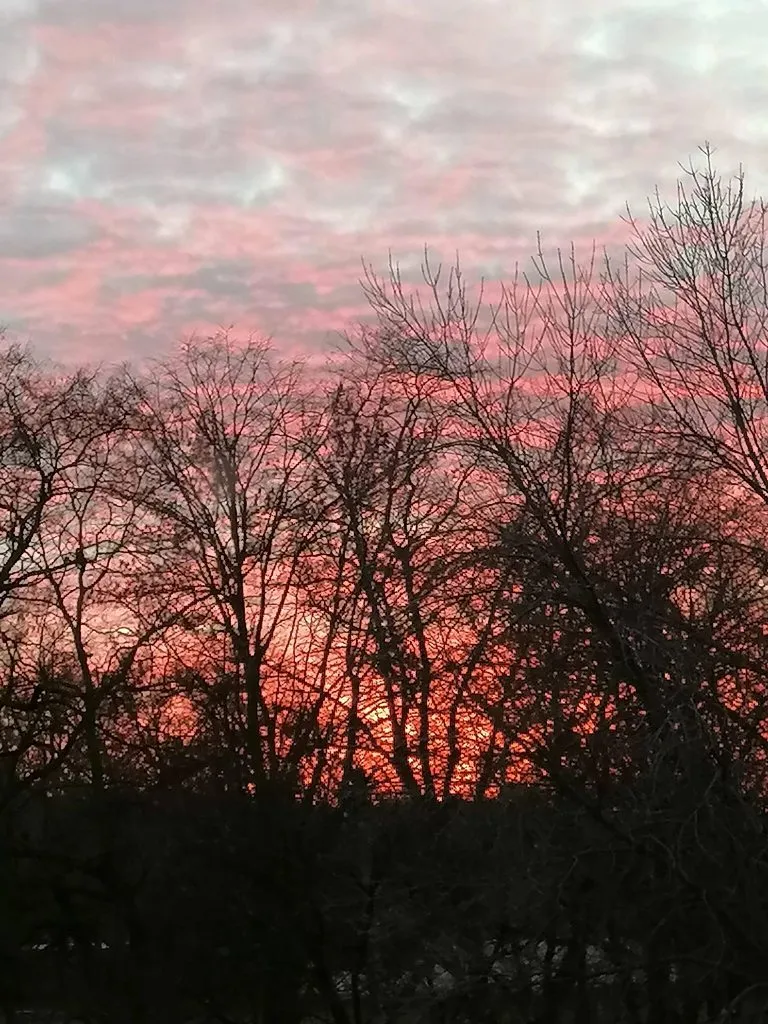 Такое разное небо