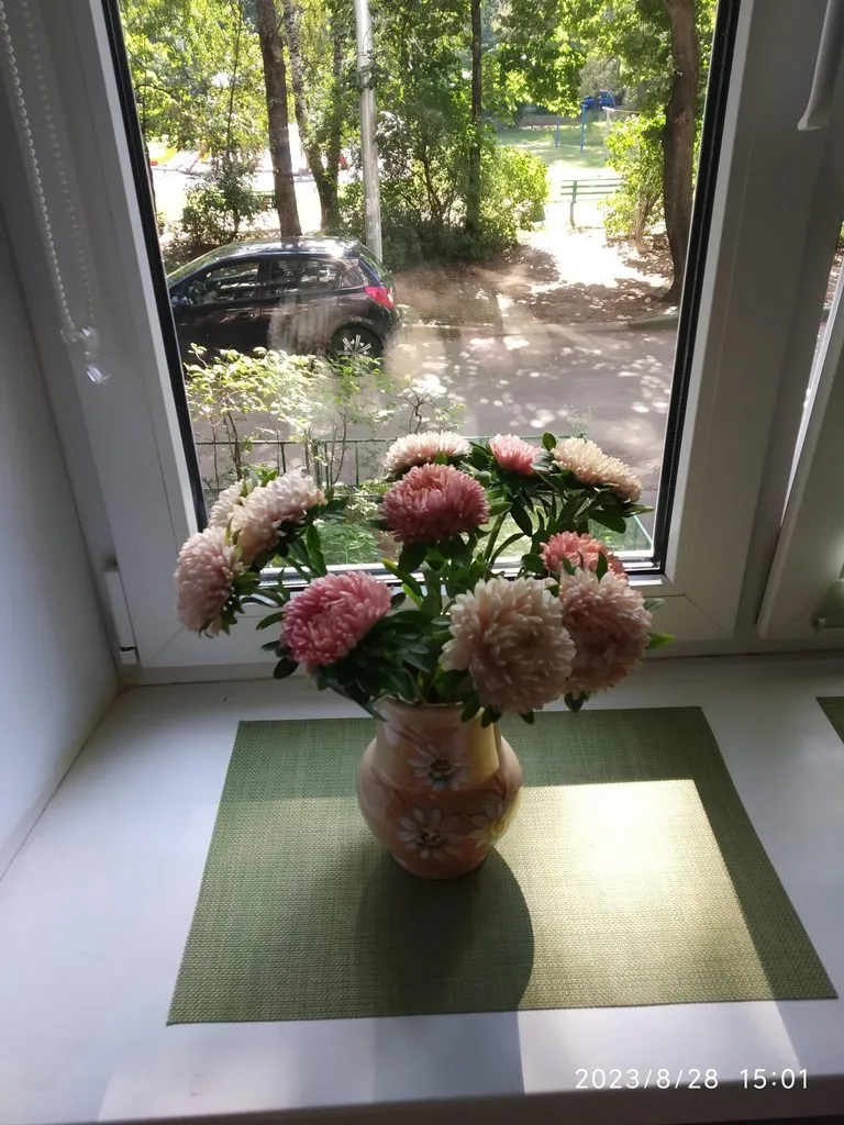 Чайная беседка