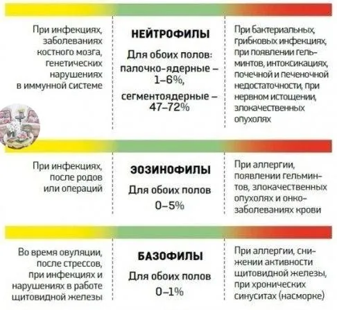 Медицинская инфографика