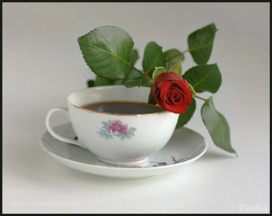 Tapтaлeтки & Ко