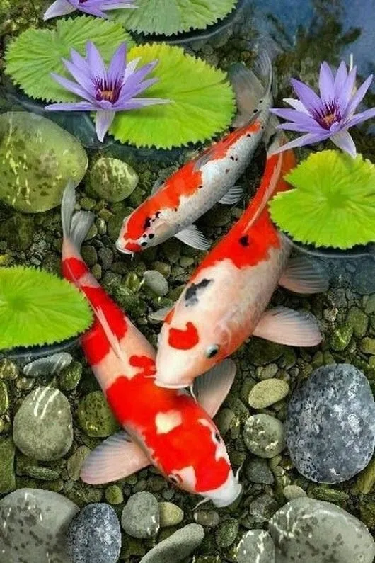 Эти забавные животные