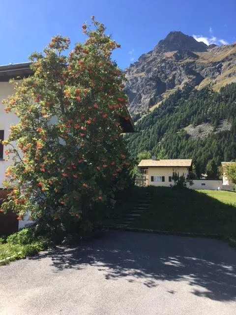 Чайная беседка