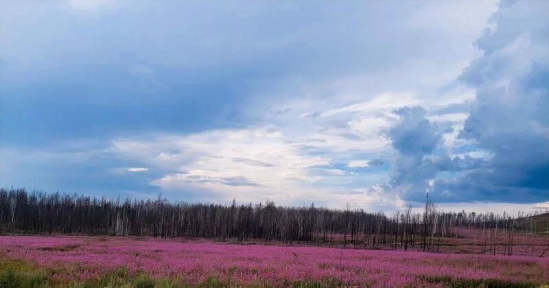 Такое разное небо