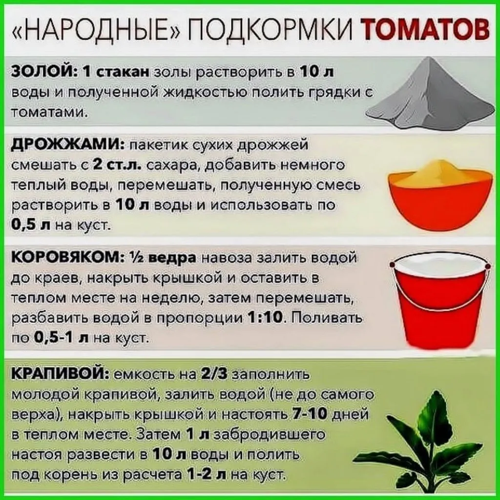 Сажаем, растим, собираем урожай…