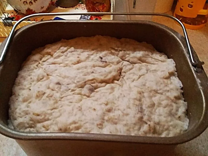 Белый хлеб с овсяной мукой и семечками тыквы в духовке (холодная ферментация)