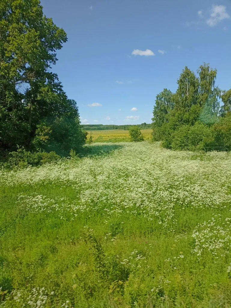 Фотонастроение