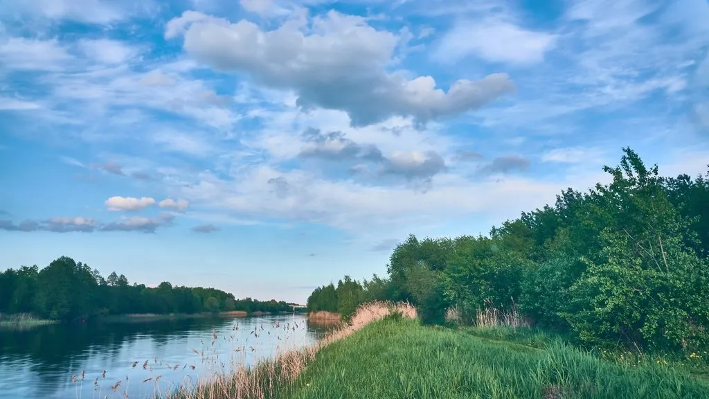 Климат изменил размер нашего тела и, в некоторой степени, нашего мозга
