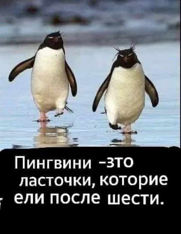 Посмеялся сам - поделись с другом!!!