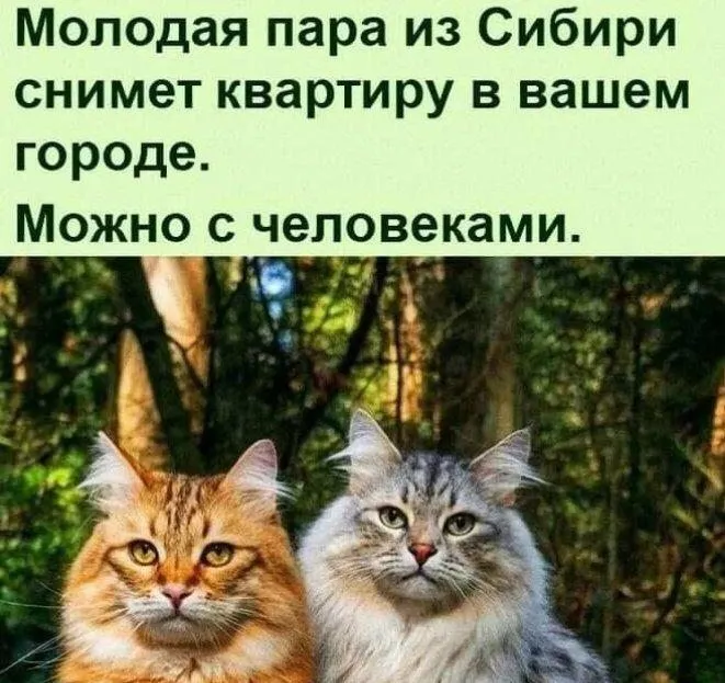 Посмеялся сам - поделись с другом!!!